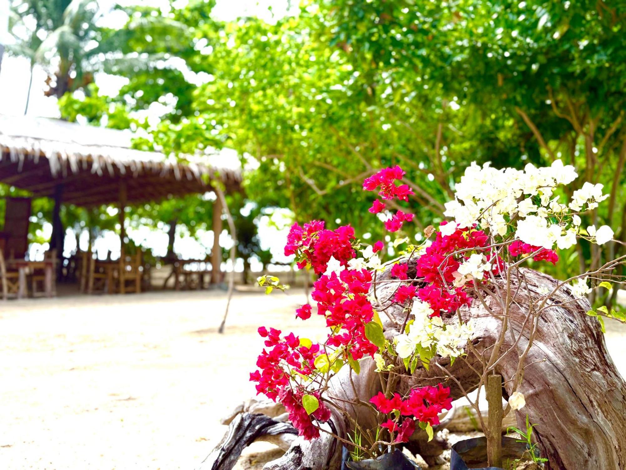 Dosplaya Ecocamp Hotel เอลนิโด ภายนอก รูปภาพ